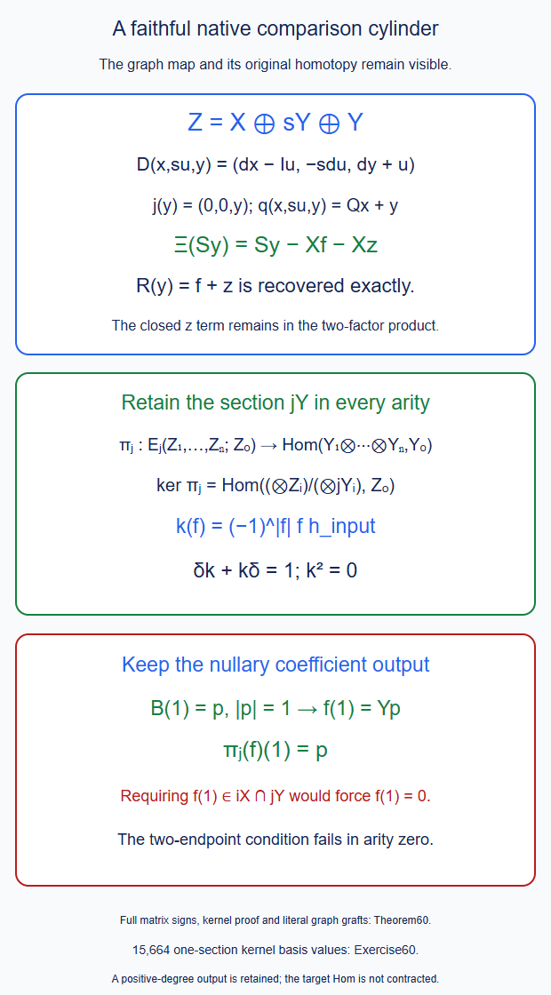 A comparison cylinder retains the original graph map, coefficient map and homotopy as exact matrix blocks. The section projection has a contracted mapping kernel in every arity, while imposing both endpoint conditions would erase all nullary operations.