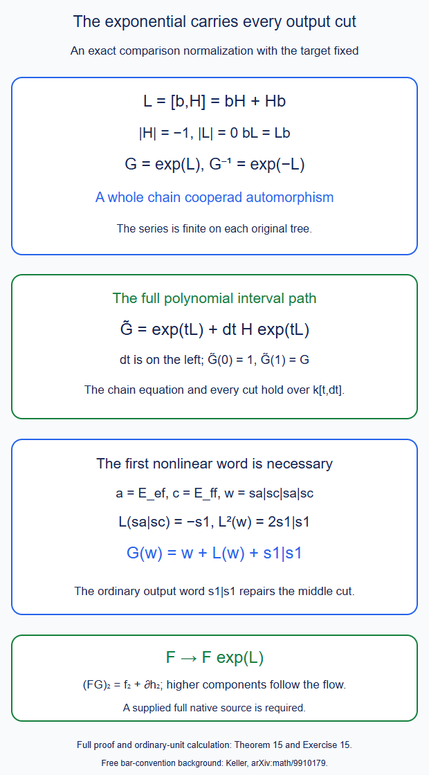 The full exponential flow, its polynomial interval homotopy, and its necessary ordinary-unit output word.