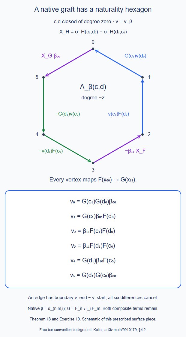 The six closed composites and six directed boundary groups of the actual two-input graft naturality surface.