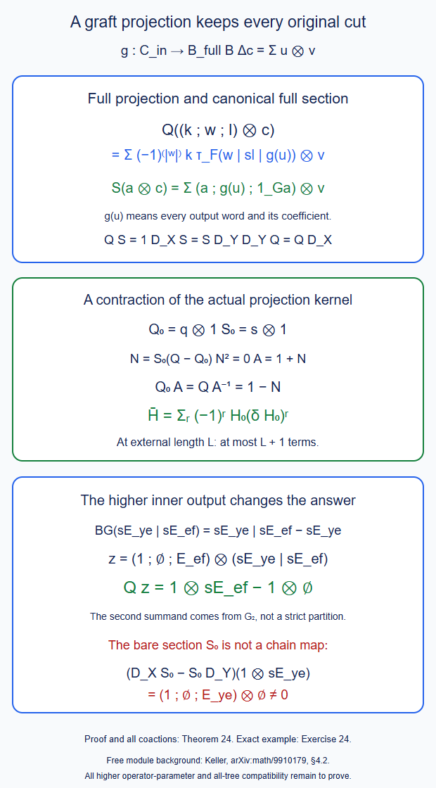 The whole common-input Yoneda projection and section, the necessary higher inner-functor partition, and the projection-kernel contraction.