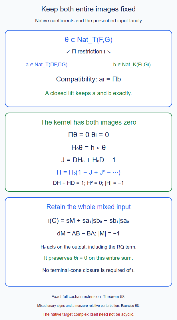 A joint lifting square keeps the entire native projection and the full prescribed input simultaneously. Its contracted kernel has both images zero. The mixed tensor-bar input has three outer-word components, all retained.
