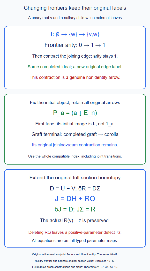 Original contraction labels and pulled-back execution ideals describe each native string on its initial tree. A full section homotopy extends to the graph with its original value retained.