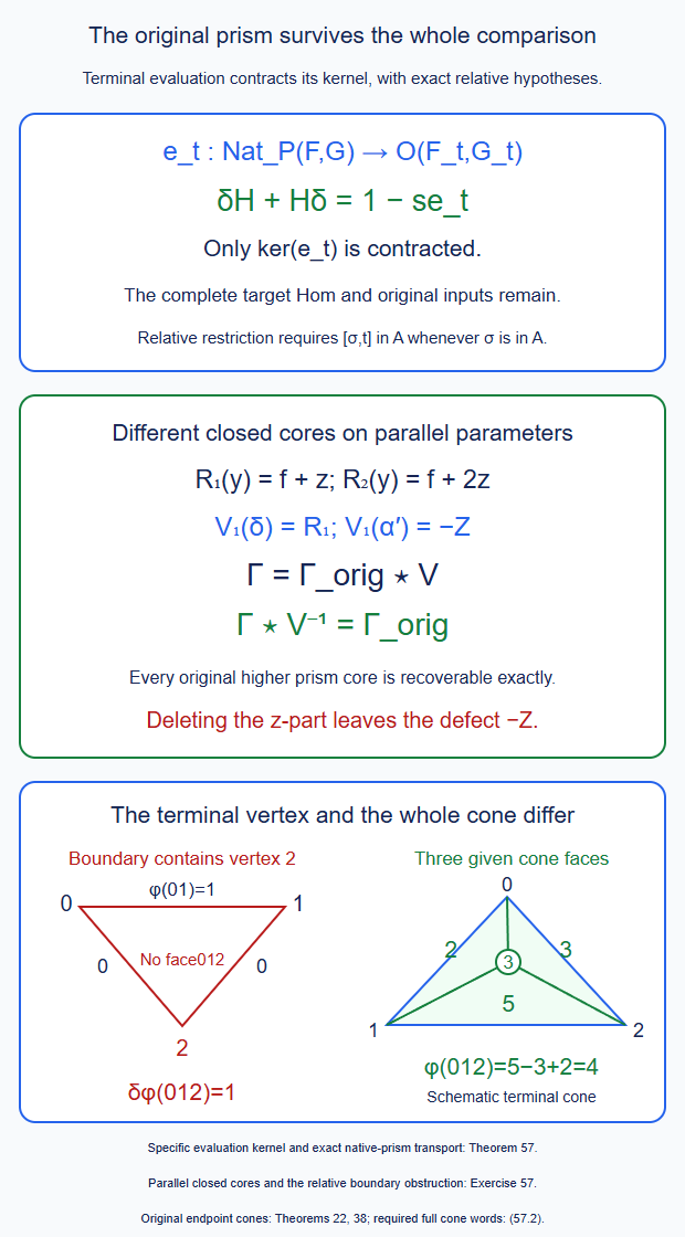 Terminal evaluation contracts a specific comparison kernel. The original native prism is transported by an exactly invertible full comparison, while relative extension requires the terminal cone words as well as the terminal vertex.