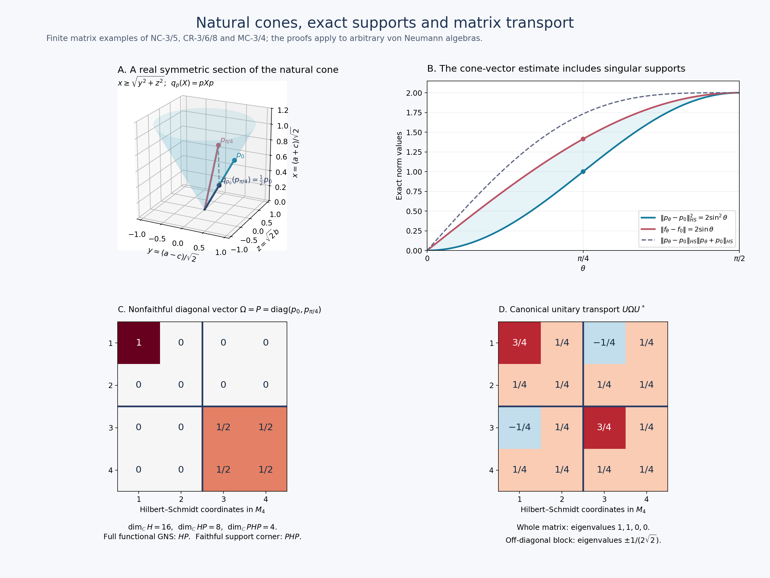 Exact cone metric, support projection, norm comparison and matrix transport