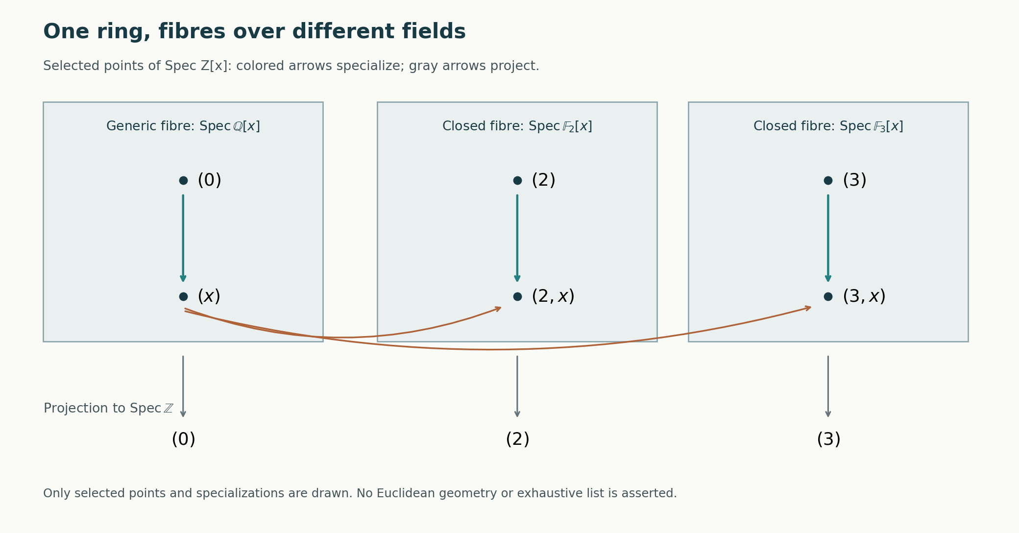 Selected points of the arithmetic spectrum and their specialization arrows