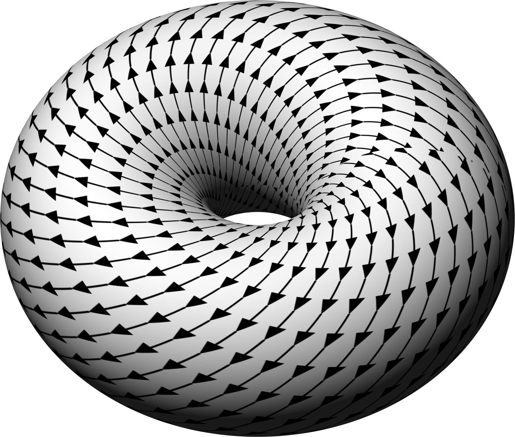 Suatu medan vektor pada torus. Setiap titik torus diberi suatu arah tangensial, yang ditunjukkan oleh panah-panah.